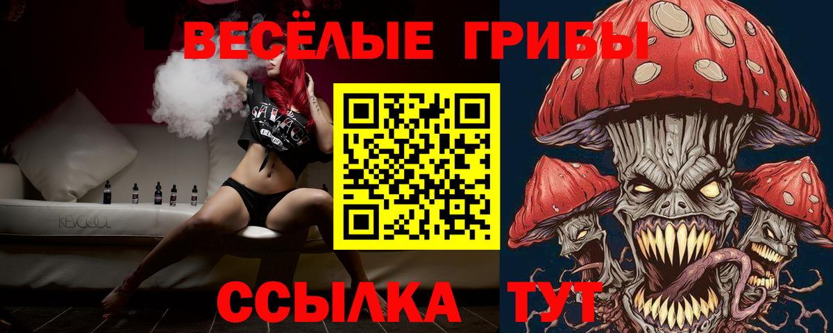 Новороссийск  Галлюциногенные грибы Cubensis  Вход с VPN  Псилоцибиновые грибы GOLDEN TEACHER 